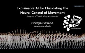 AI Research Catalyst Fund Awardees Virtual Seminar Series - Dr. Shreya Saxena