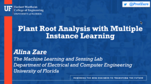 AI Advances and Applications Virtual Seminar Series — Alina Zare